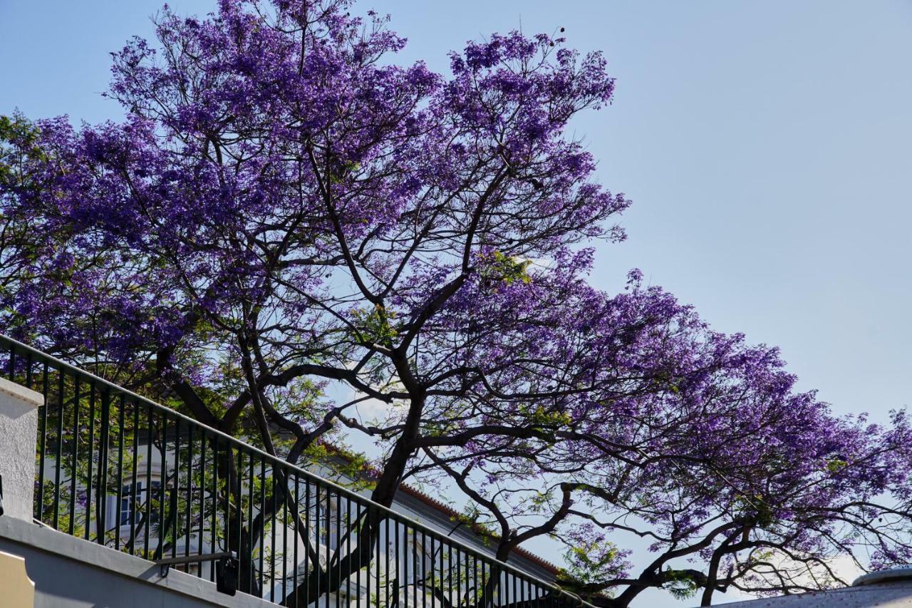 Apartamento Ribeira Funchal Center Exterior foto
